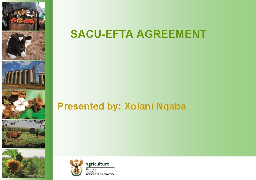 SACU-EFTA AGREEMENT Presented by: Xolani Nqaba 