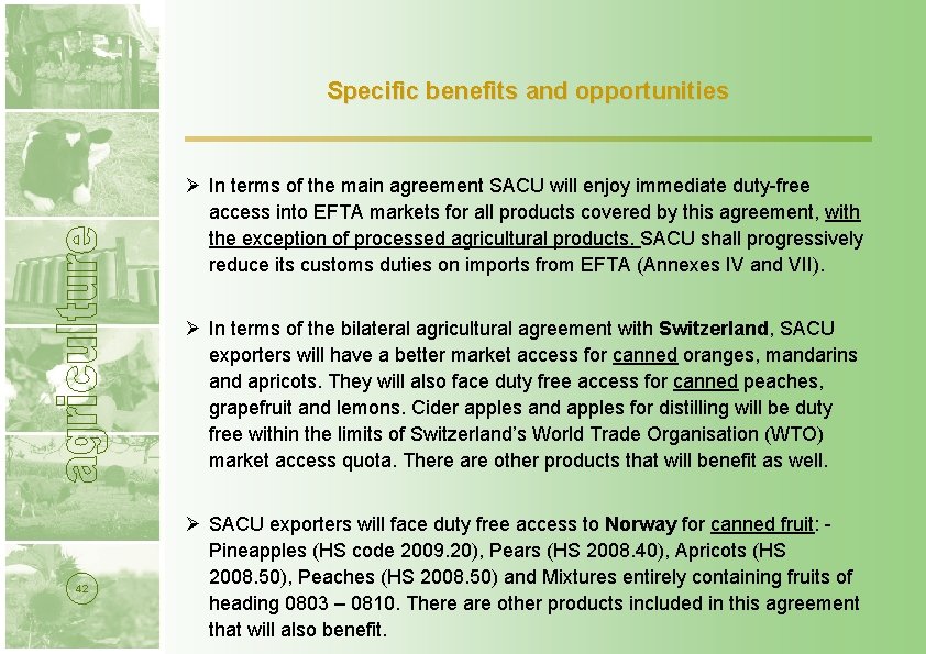Specific benefits and opportunities Ø In terms of the main agreement SACU will enjoy