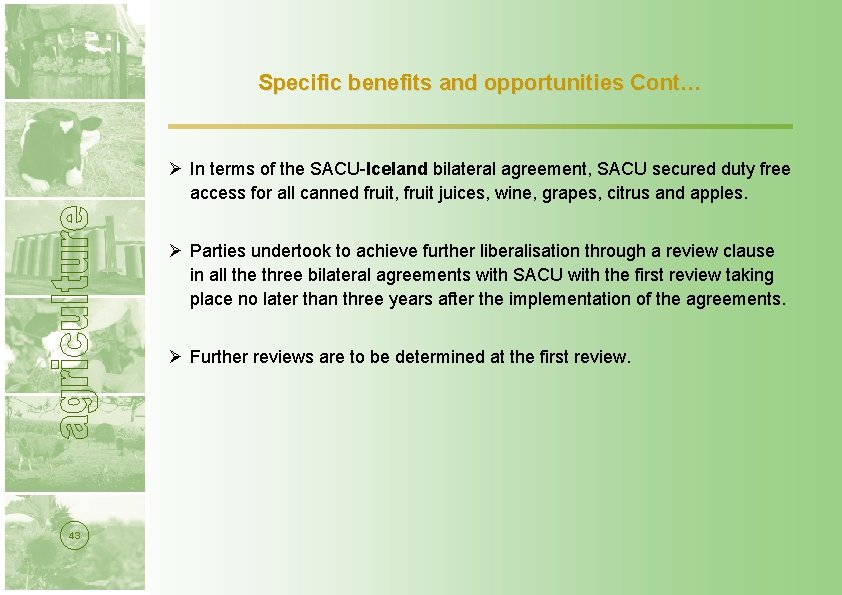 Specific benefits and opportunities Cont… Ø In terms of the SACU-Iceland bilateral agreement, SACU