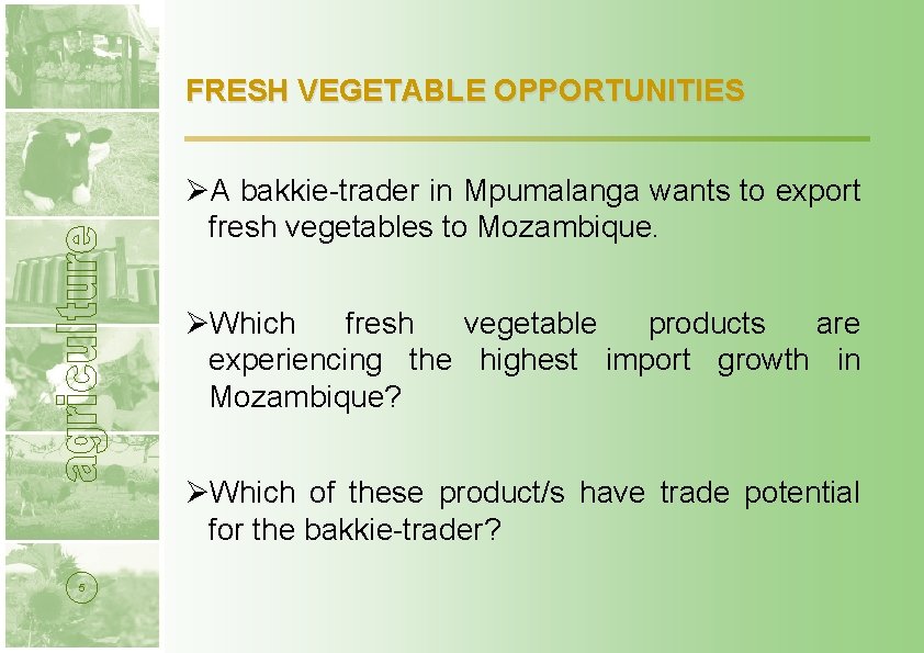 FRESH VEGETABLE OPPORTUNITIES ØA bakkie-trader in Mpumalanga wants to export fresh vegetables to Mozambique.