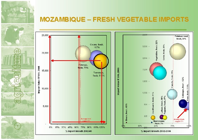 MOZAMBIQUE – FRESH VEGETABLE IMPORTS 7 