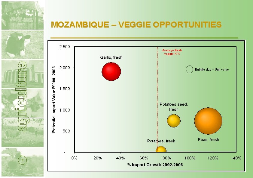 MOZAMBIQUE – VEGGIE OPPORTUNITIES 9 