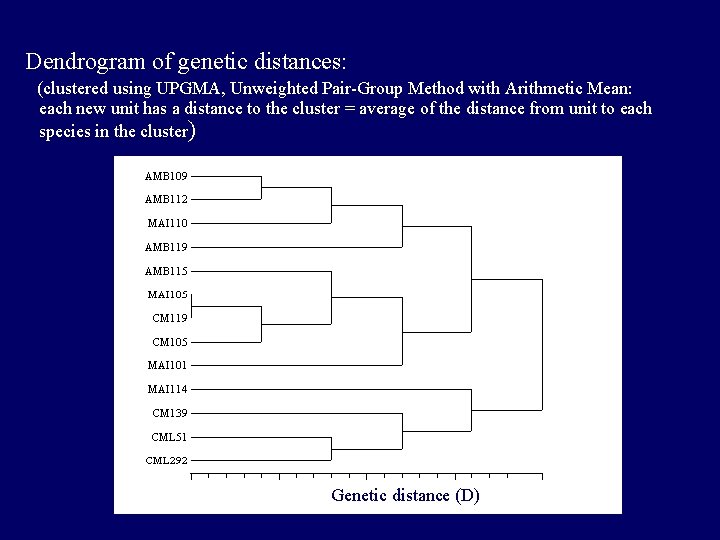 Dendrogram of genetic distances: (clustered using UPGMA, Unweighted Pair-Group Method with Arithmetic Mean: each