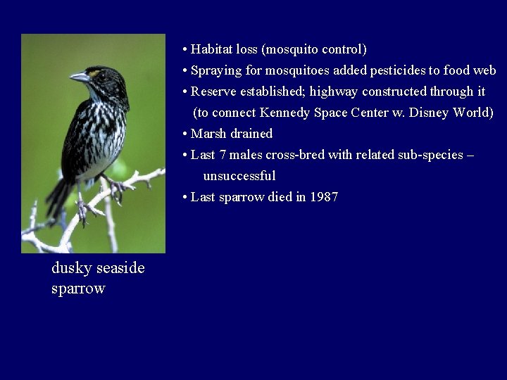  • Habitat loss (mosquito control) • Spraying for mosquitoes added pesticides to food