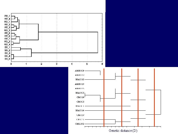 Genetic distance (D) 