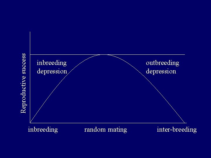 Reproductive success inbreeding depression inbreeding outbreeding depression random mating inter-breeding 