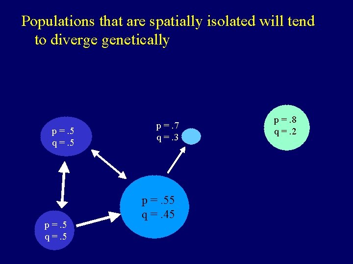 Populations that are spatially isolated will tend to diverge genetically p =. 5 q