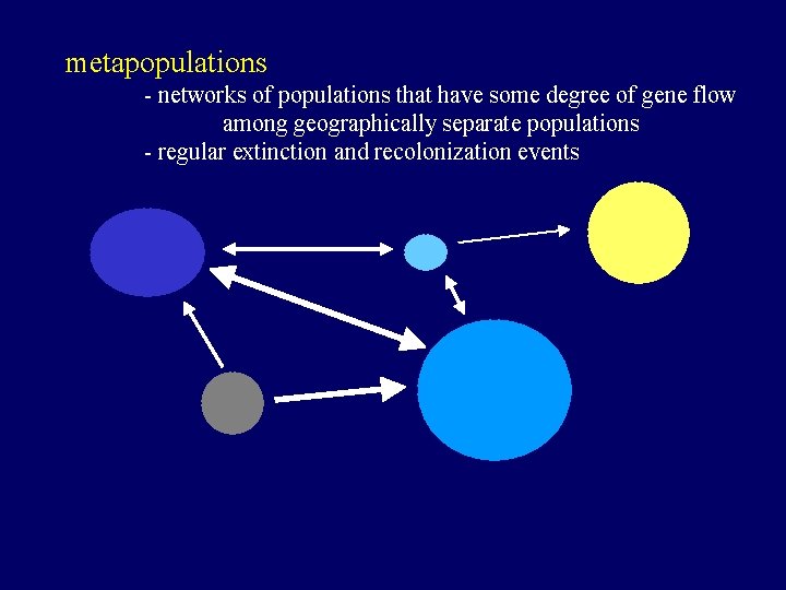 metapopulations - networks of populations that have some degree of gene flow among geographically
