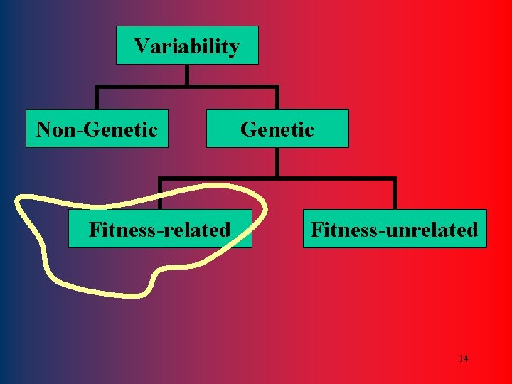 Variability Non-Genetic Fitness-related Genetic Fitness-unrelated 14 
