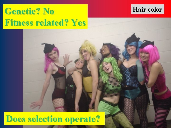 Genetic? No Fitness related? Yes Does selection operate? Hair color 15 