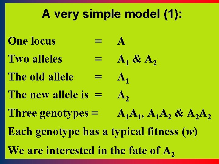 A very simple model (1): One locus = A Two alleles = A 1