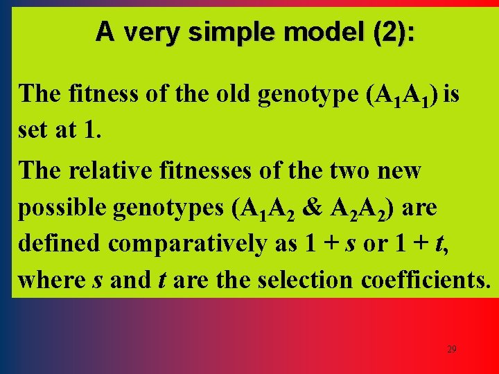 A very simple model (2): The fitness of the old genotype (A 1 A