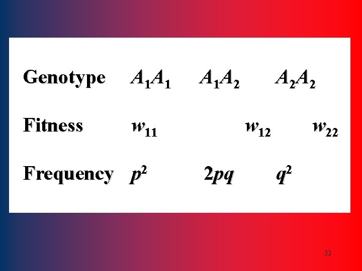 Genotype A 1 A 1 Fitness w 11 Frequency p 2 A 1 A