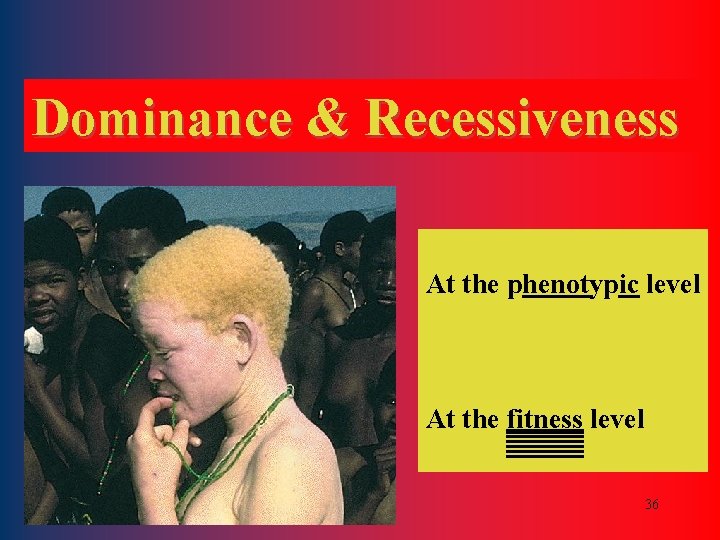 Dominance & Recessiveness At the phenotypic level At the fitness level 36 