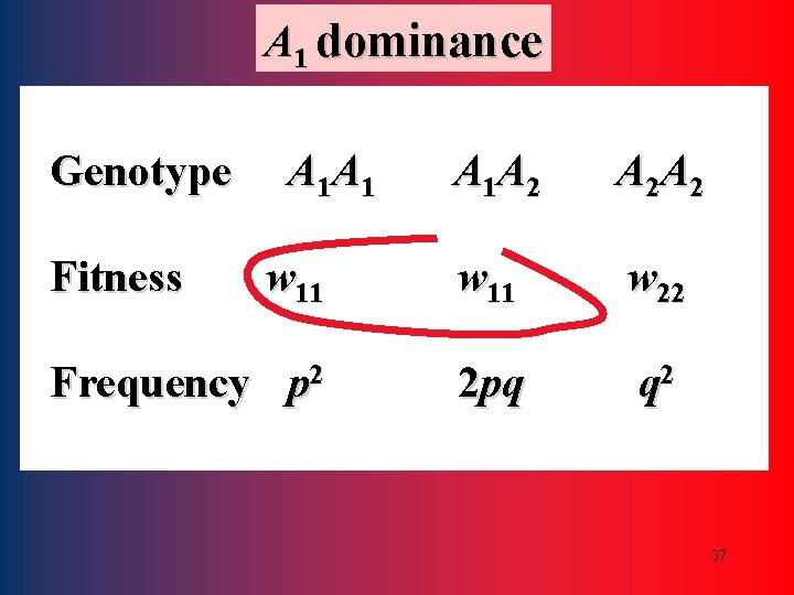 A 1 dominance Genotype A 1 A 2 A 2 A 2 w 11