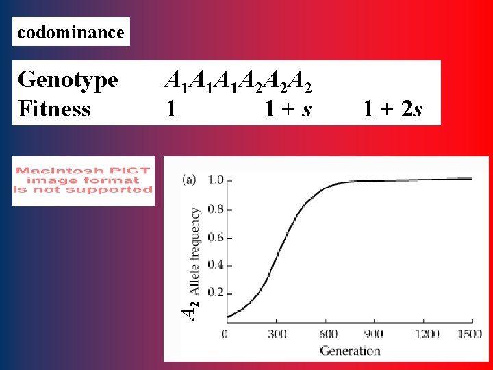 codominance A 1 A 1 A 1 A 2 A 2 A 2 1