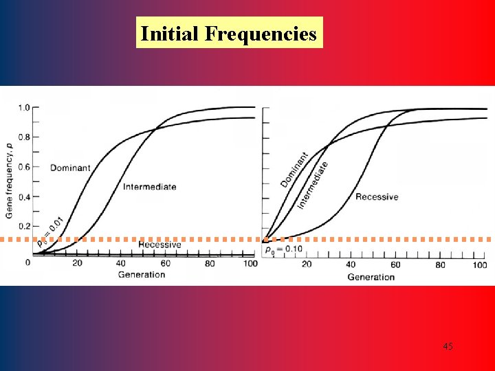 Initial Frequencies 45 