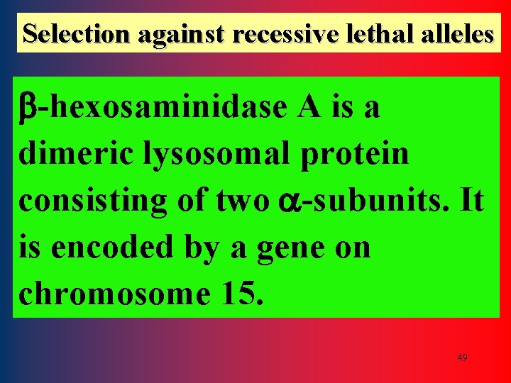 Selection against recessive lethal alleles b-hexosaminidase A is a dimeric lysosomal protein consisting of