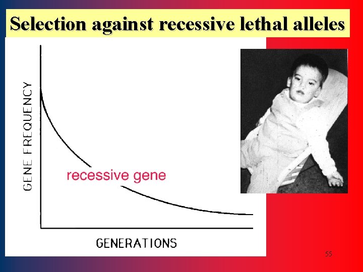 Selection against recessive lethal alleles 55 