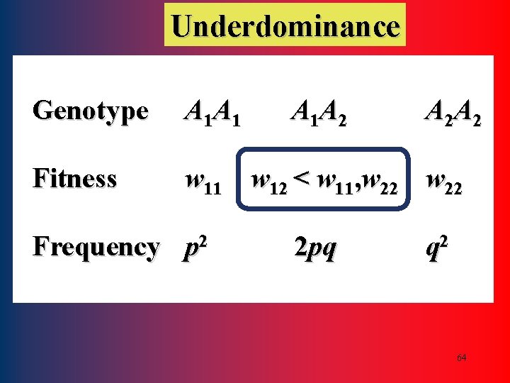 Underdominance Genotype A 1 A 1 Fitness w 11 w 12 < w 11,