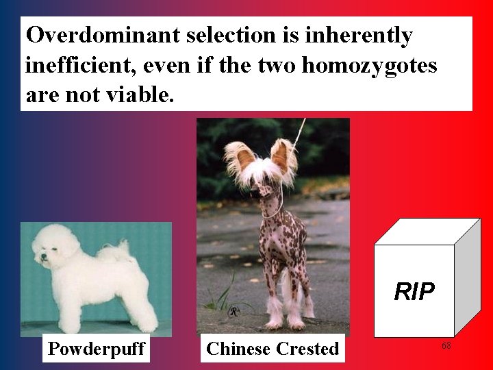 Overdominant selection is inherently inefficient, even if the two homozygotes are not viable. RIP