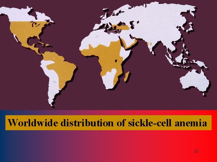 Worldwide distribution of sickle-cell anemia 82 