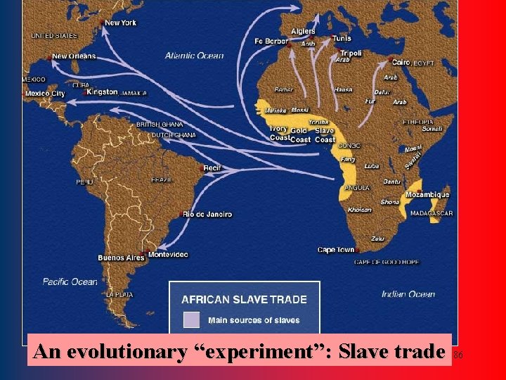 An evolutionary “experiment”: Slave trade 86 