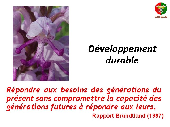 DCSEA/SDE 2/DD Développement durable Répondre aux besoins des générations du présent sans compromettre la