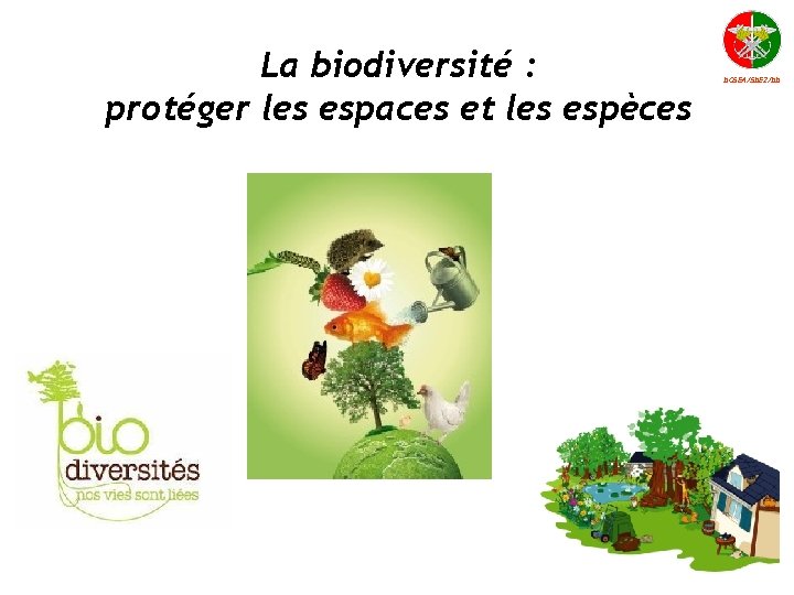 La biodiversité : protéger les espaces et les espèces DCSEA/SDE 2/DD 