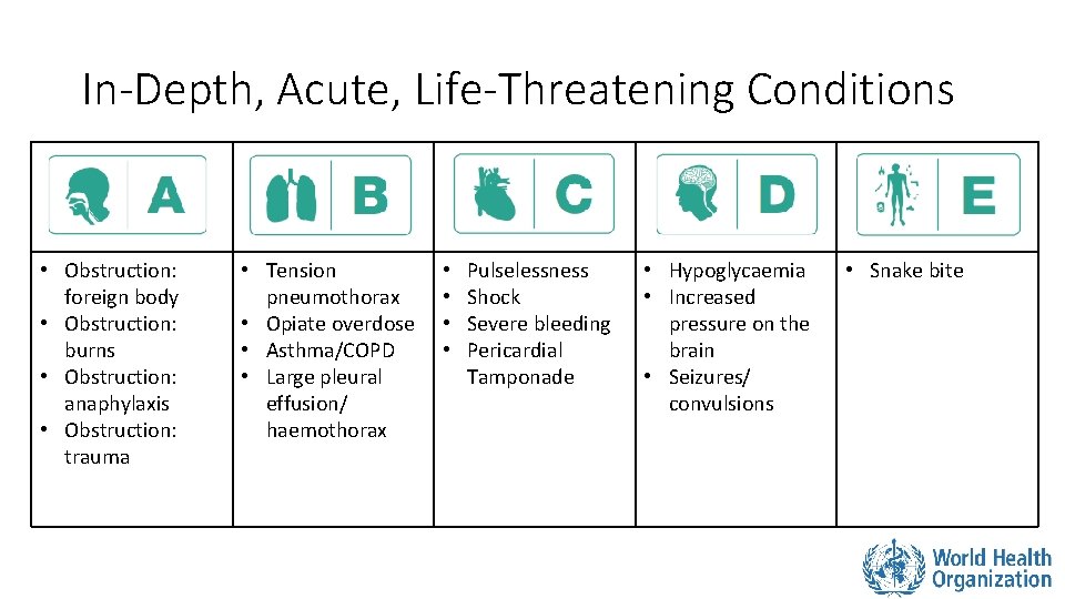 In-Depth, Acute, Life-Threatening Conditions • Obstruction: foreign body • Obstruction: burns • Obstruction: anaphylaxis