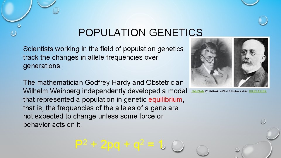 POPULATION GENETICS Scientists working in the field of population genetics track the changes in