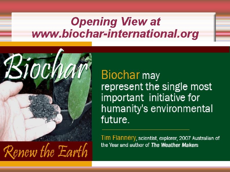 Opening View at www. biochar-international. org 