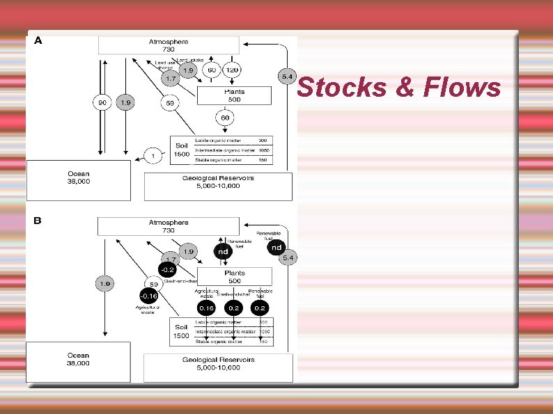 Stocks & Flows 