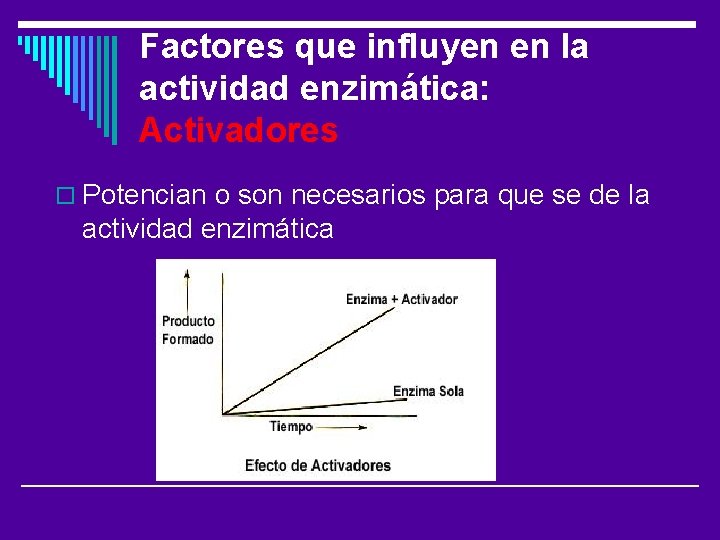 Factores Que Influyen En La Actividad Enzimatica slidetodoc.com