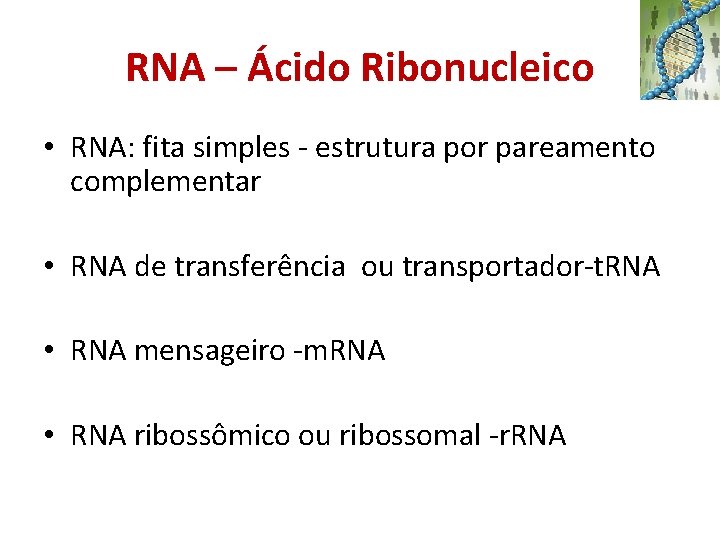 RNA – Ácido Ribonucleico • RNA: fita simples - estrutura por pareamento complementar •