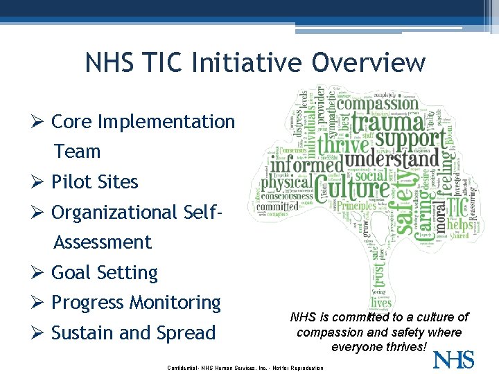 NHS TIC Initiative Overview Ø Core Implementation Team Ø Pilot Sites Ø Organizational Self.