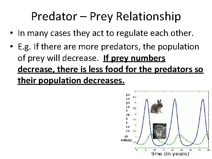 Predator – Prey Relationship • In many cases they act to regulate each other.
