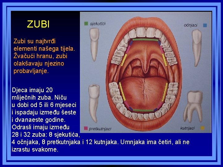 ZUBI Zubi su najtvrđi elementi našega tijela. Žvačući hranu, zubi olakšavaju njezino probavljanje. Djeca ZUBI Zubi su najtvrđi elementi našega tijela. Žvačući hranu, zubi olakšavaju njezino probavljanje. Djeca