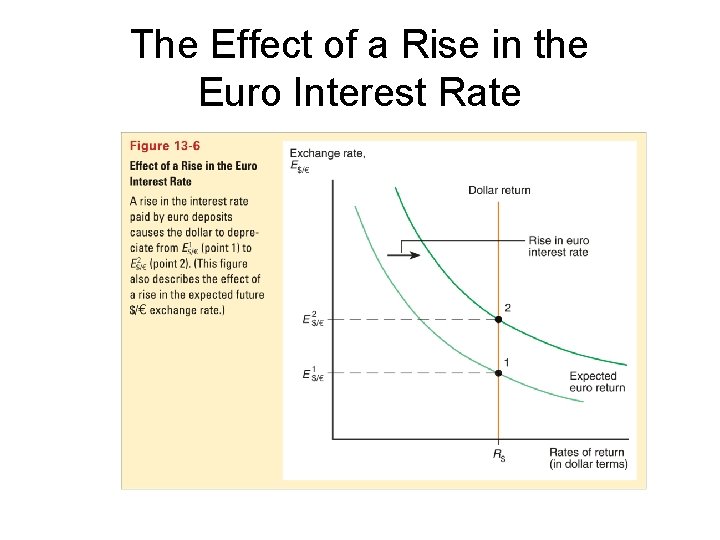 The Effect of a Rise in the Euro Interest Rate 