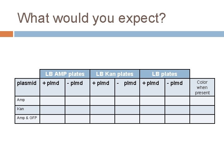 What would you expect? LB AMP plates plasmid Amp Kan Amp & GFP +