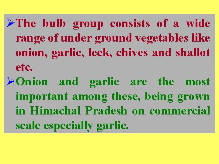 ØThe bulb group consists of a wide range of under ground vegetables like onion,