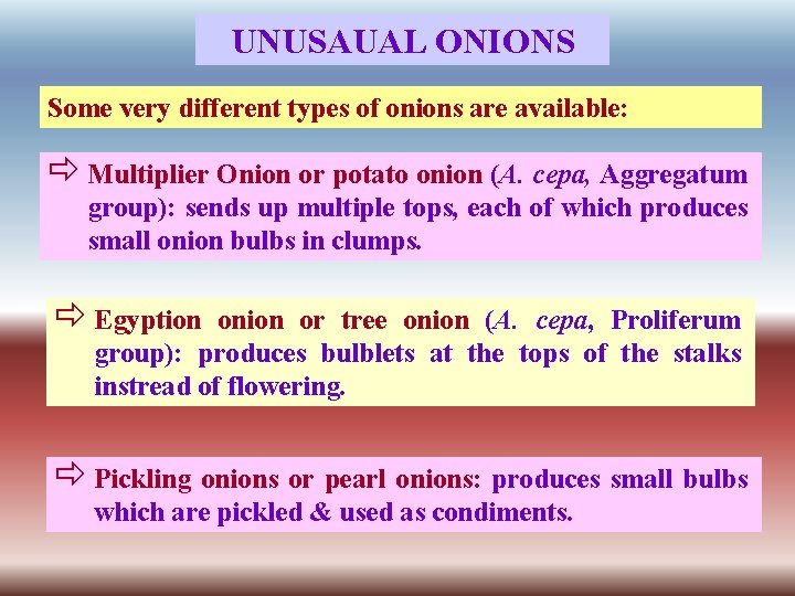 UNUSAUAL ONIONS Some very different types of onions are available: ð Multiplier Onion or