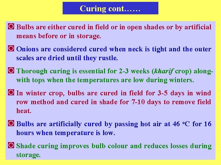 Curing cont…… ◙ Bulbs are either cured in field or in open shades or