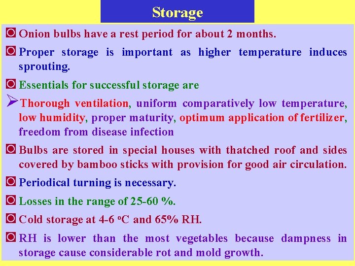 Storage ◙ Onion bulbs have a rest period for about 2 months. ◙ Proper
