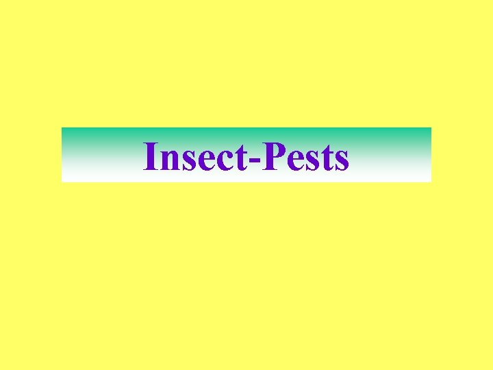 Insect-Pests 