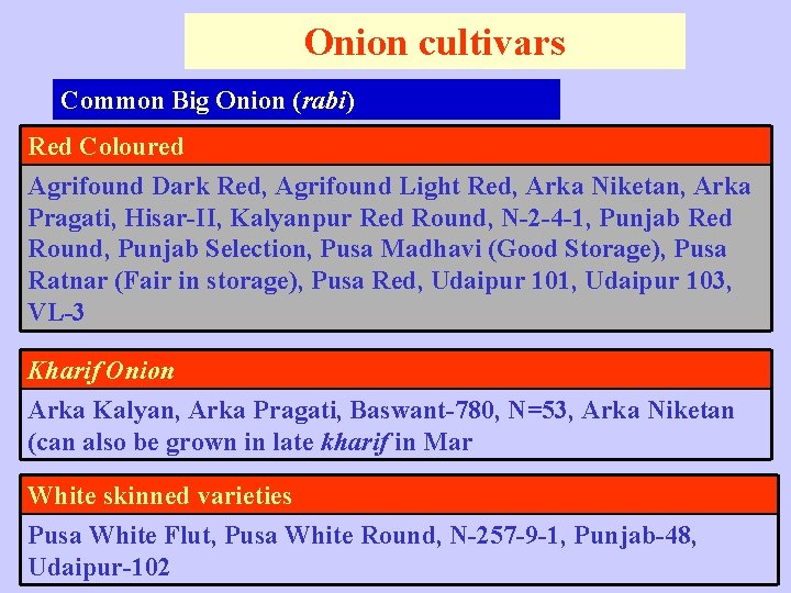 Onion cultivars Common Big Onion (rabi) Red Coloured Agrifound Dark Red, Agrifound Light Red,