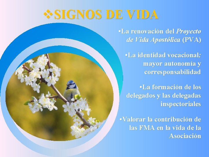 v. SIGNOS DE VIDA • La renovación del Proyecto de Vida Apostólica (PVA) •