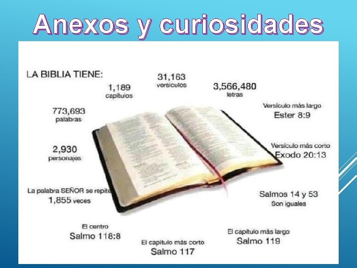 Anexos y curiosidades 