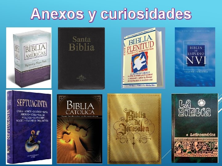 Anexos y curiosidades 