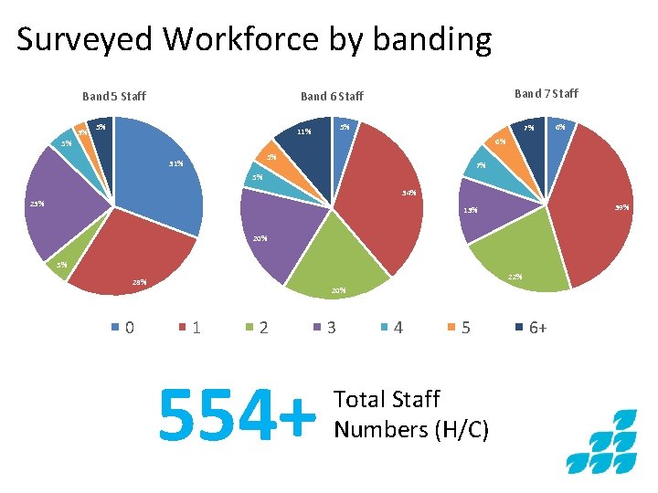 Surveyed Workforce by banding Band 5 Staff 3% Band 7 Staff Band 6 Staff